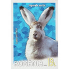Arctic Hare (Lepus arcticus) - Romania 2020 - 19