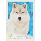 Arctic Wolf (Canis lupus arctos) - Romania 2020 - 1.80