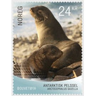 Arctocephalus gazella (The Antarctic fur seal) - Norway 2018 - 24