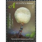 Arcyria globosa - Belarus 2020