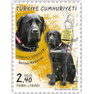 Assistance Dog (Canis lupus familiaris) - Turkey 2020 - 2.40
