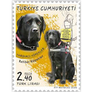 Assistance Dog (Canis lupus familiaris) - Turkey 2020 - 2.40