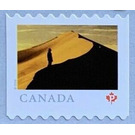 Athabasca Sand Dunes Provincial Park, Saskatchewan - Canada 2020