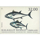 Atlantic Bluefin Tuna (Thunnus thynnus) - Greenland 2020 - 32