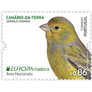 Atlantic Canary (Serinus canaria) - Portugal / Madeira 2019 - 0.86