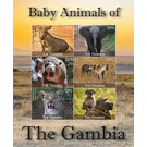 Baby Animals - West Africa / Gambia 2021