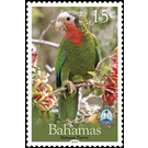 Bahama Parrot - Caribbean / Bahamas 2019 - 15