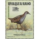 Baillon's Crake (Porzana pusilla) - East Africa / Burundi 2016