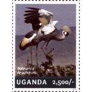 Balearica regulorium - East Africa / Uganda 2014
