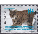 Balkan Lynx (Lynx lynx balcanicus) - Macedonia / North Macedonia 2021 - 144