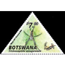 Banded-Legged Golden Orb-Web Spider (Nephila senegalensis) - South Africa / Botswana 2020 - 7