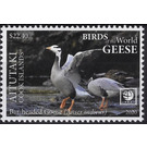 Bar-Headed Goose (Anser indicus) - Aitutaki 2020 - 22.40