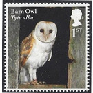 Barn Owl - Tyto alba - United Kingdom 2018