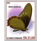 Battus laodamas - Central Africa / Sao Tome and Principe 2021