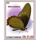 Battus laodamas - Central Africa / Sao Tome and Principe 2021