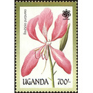 Bauhinia purpurea - East Africa / Uganda 1990 - 700