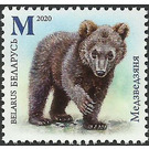 Bear Cub - Belarus 2020