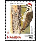 Bearded Woodpecker (Chloropicus namaquus) - South Africa / Namibia 2020