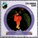 Begonia - South America / Colombia 2021