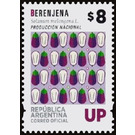 Berenjena (aubergine) - Solanum melongena - South America / Argentina 2019 - 8