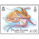 Big Blue Octopus (Octopus cyanea) - Polynesia / Pitcairn Islands 2018 - 1