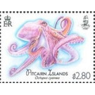 Big Blue Octopus (Octopus cyanea) - Polynesia / Pitcairn Islands 2018 - 2.80