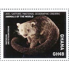 Binturong - West Africa / Ghana 2017 - 8