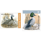 Birds of Buzin - Belgium 2020 Set