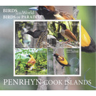 Birds of Paradise - Polynesia / Penrhyn 2020