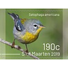 Birds of Sint Maarten - Caribbean / Sint Maarten 2019 - 190