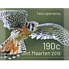 Birds of Sint Maarten - Caribbean / Sint Maarten 2019 - 190