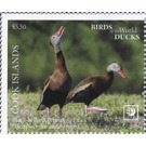Black-Bellied Whistling Duck (Dendrocygna autumnalis) - Polynesia / Cook Islands 2020 - 5.50