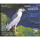 Black-Crowned Night Heron (Nycticorax nycticorax) - Cook Islands, Rarotonga 2020 - 22.40