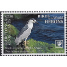 Black-Crowned Night Heron (Nycticorax nycticorax) - Cook Islands, Rarotonga 2020 - 22.40