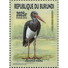 Black Stork (Ciconia nigra) - East Africa / Burundi 2016
