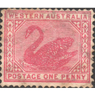 Black Swan (Cygnus atratus) - Western Australia 1902 - 1