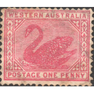 Black Swan (Cygnus atratus) - Western Australia 1902 - 1