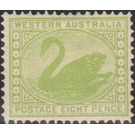 Black Swan (Cygnus atratus) - Western Australia 1903 - 8