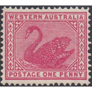 Black Swan (Cygnus atratus) - Western Australia 1905 - 1