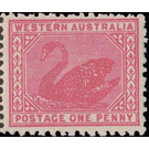 Black Swan (Cygnus atratus) - Western Australia 1905