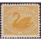 Black Swan (Cygnus atratus) - Western Australia 1905 - 2