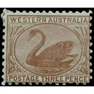 Black Swan (Cygnus atratus) - Western Australia 1906