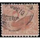 Black Swan (Cygnus atratus) - Western Australia 1906