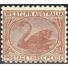 Black Swan (Cygnus atratus) - Western Australia 1906 - 3