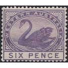 Black Swan (Cygnus atratus) - Western Australia 1906 - 6