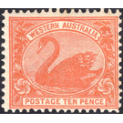 Black Swan (Cygnus atratus) - Western Australia 1910 - 10