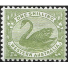 Black Swan (Cygnus atratus) - Western Australia 1912 - 1
