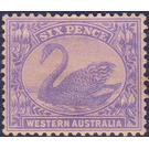 Black Swan (Cygnus atratus) - Western Australia 1912 - 6