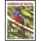 Black-tailed Trogon (Trogon melanurus) - South America / Bolivia 2019 - 6.50