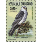 Black-winged Kite (Elanus caeruleus) - East Africa / Burundi 2016